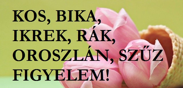 Bika-Kos-Ikrek-Rák-Szűz-Oroszlán: sorsdöntő napok, csodálatos sikerek jönnek az Életedbe!