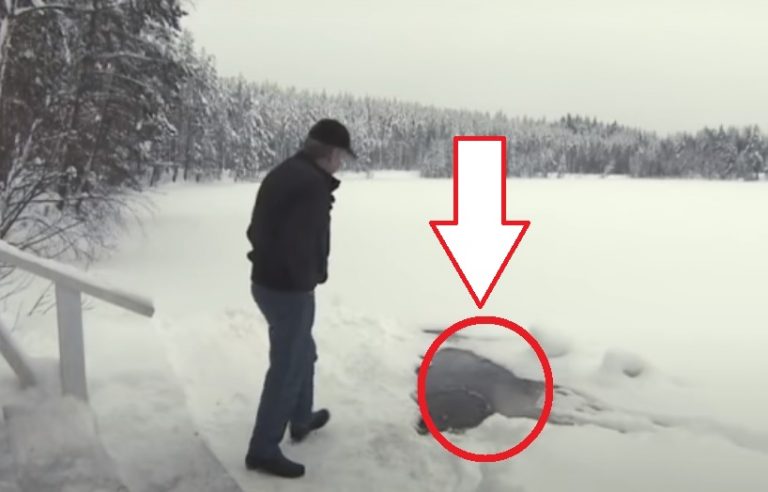 A lékre szegezi a tekintetét és megadja a jelet. Erre olyasmi kecmereg ki a vízből, hogy csak kapkodjuk a szemünket