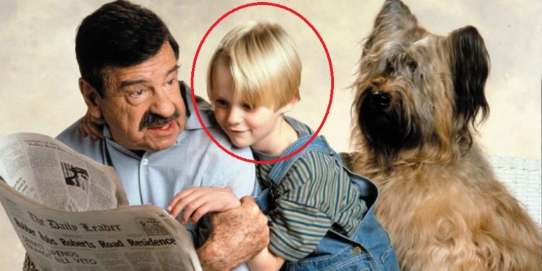 A Dennis, a komisz c. film kis gézengúza szívdöglesztő férfivá érett. Így néz ki most, 34 évesen: