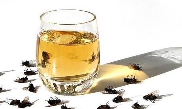 A lakásom TELJESEN szúnyog-, légy- és bogármentes övezet! Csak kiteszem a lakásomban EZT: