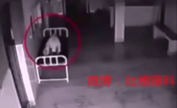 A beteg életét veszti a kórházban. A kamerák olyasmit vesznek fel, hogy mióta végignéztem, azóta is borzongok