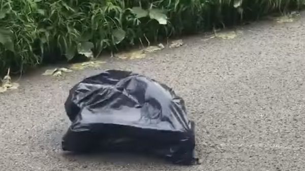Az autós talál egy mozgó zacskót az úton. Remegni kezd, mikor meglátja mi van benne