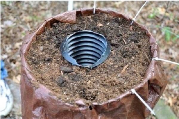 Egy PVC csövet tesz a földbe, pár hét múlva varázslatos dolog történik! Próbáld ki te is, a szomszédok irigykednek majd!