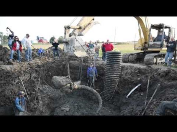 Elképesztő, hogy mit fordítottak ki a földből! Nem fogsz hinni a szemednek!