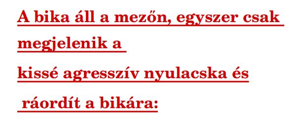 VICC: A bika békésen legel a mezőn, egyszer csak megjelenik…