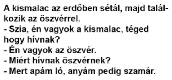 VICC: A kismalac az erdőben sétál, majd találkozik az öszvérrel