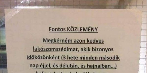 Durva levél fogadott a lépcsőházban: mikor elolvastam, úgy elpirultam, mint a főtt rák!