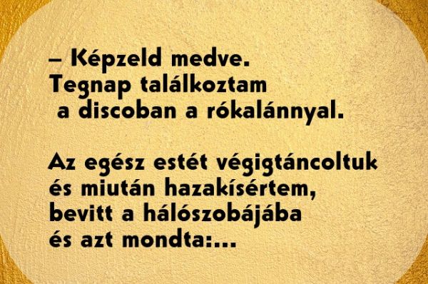 VICC: Nyuszika találkozik az erdőben a medvével