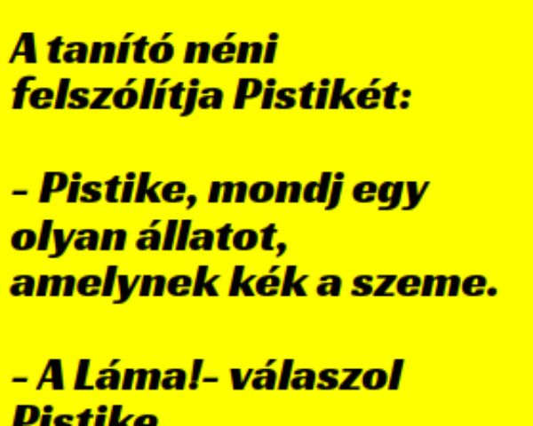 VICC:  A tanító néni felszólítja Pistikét