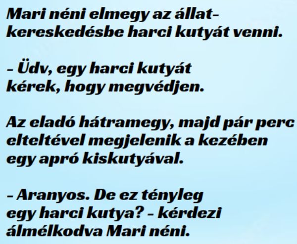 VICC: Mari néni elmegy az állatkereskedésbe harci kutyát venni