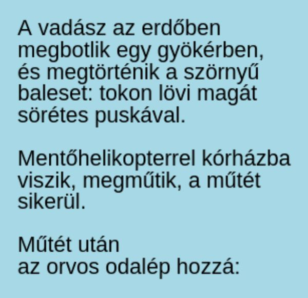 VICC: A vadász az erdőben megbotlik egy kiálló gyökérben