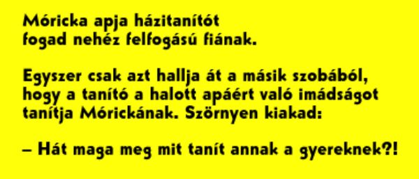 VICC: Móricka apja házitanítót fogad nehéz felfogású fiának