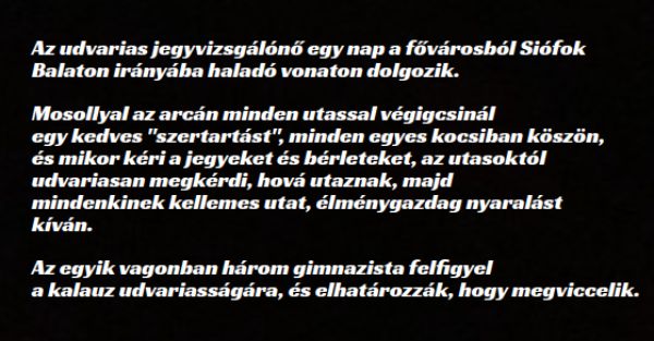 VICC: Az udvarias jegyvizsgálónő esete