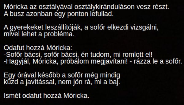 VICC: Móricka osztálykiránduláson