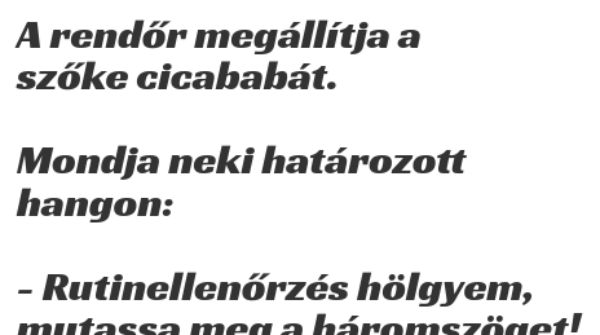 VICC: A rendőr megállítja a szőke cicababát
