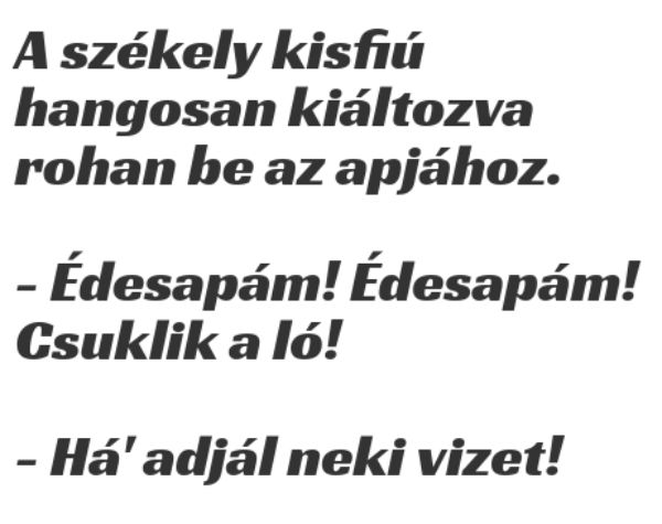 VICC: A székely kisfiú hangosan kiáltozva rohan az apjához
