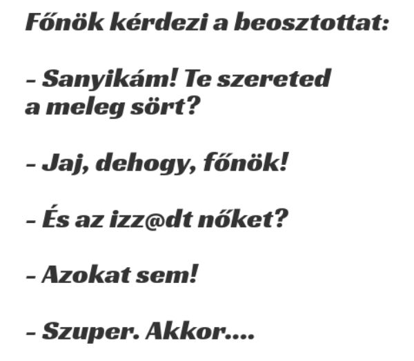 VICC: Főnök kérdezi a beosztottat, Sanyikám, te szereted a meleg sört?