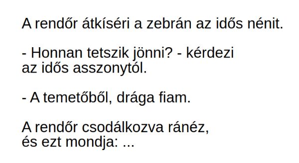 VICC: A rendőr átkíséri a zebrán az idős nénit