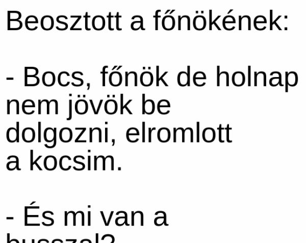 VICC: Bocsi főnök de holnap nem megyek dolgozni