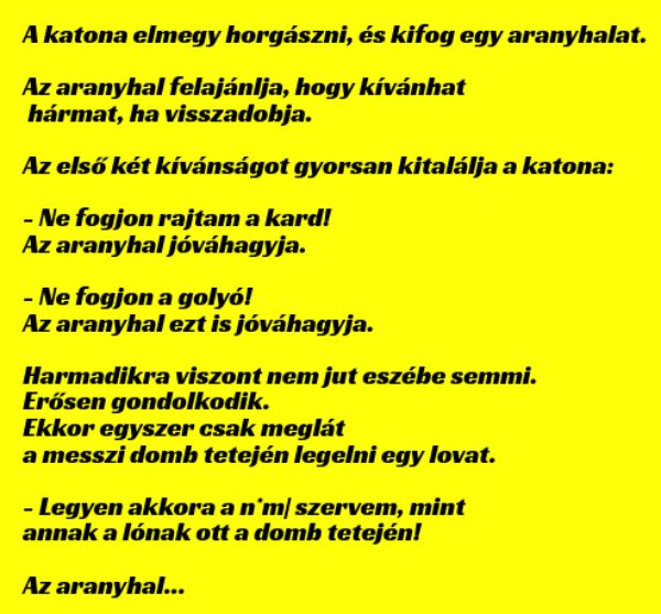 VICC: A katona elmegy horgászni, és kifog egy aranyhalat.