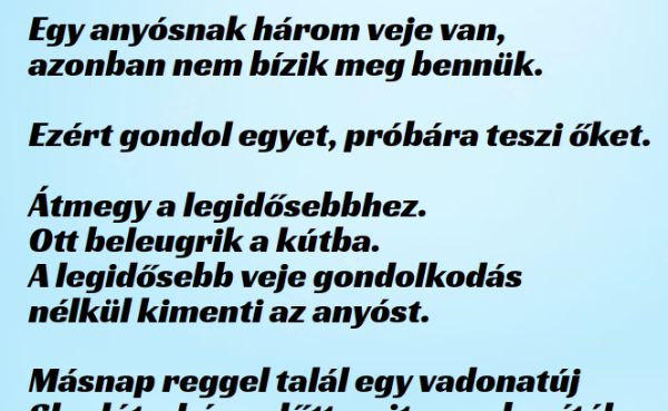 VICC: Egy anyósnak három veje van, akikben nem bízik.  Gondol egyet, és próbára teszi őket.