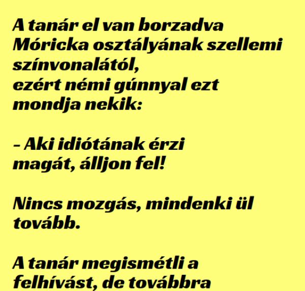 VICC: A tanár el van borzadva Móricka osztályának szellemi színvonalától