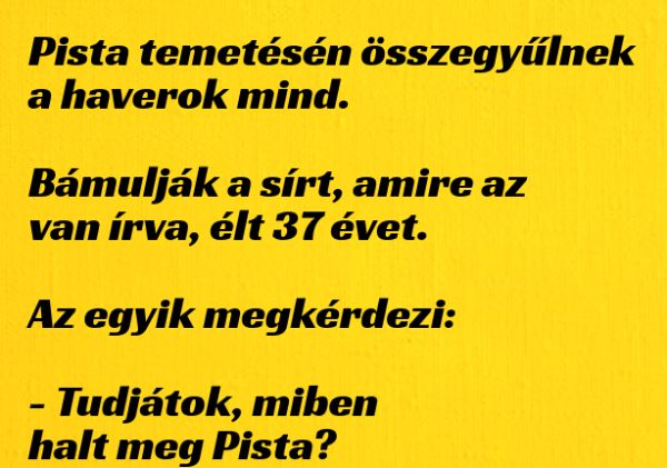 VICC: Pista temetésén összegyűlnek  a haverok