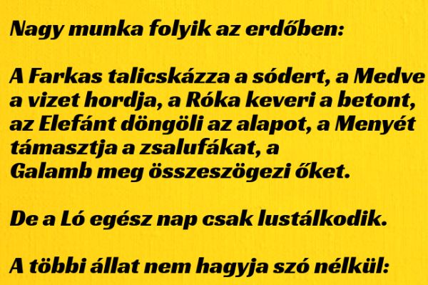 VICC: Nagy munka folyik az erdőben, a Farkas talicskázza a sódert