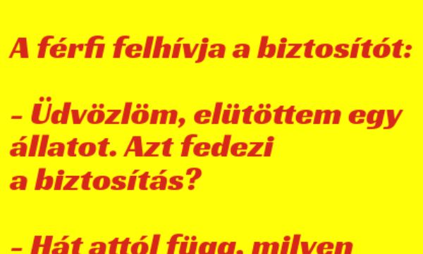 VICC: A férfi felhívja a biztosítót: