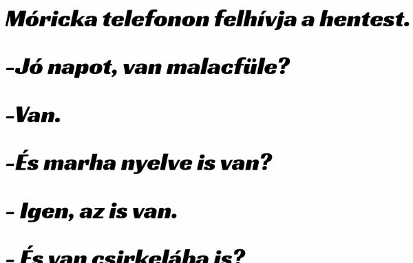 VICC: Móricka telefonon felhívja a hentest