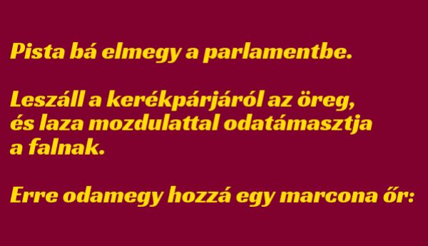 VICC: Pista bá elmegy a parlamentbe