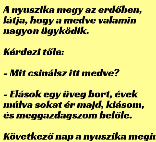 VICC: A nyuszika látja, hogy a medve valamin nagyon ügyködik
