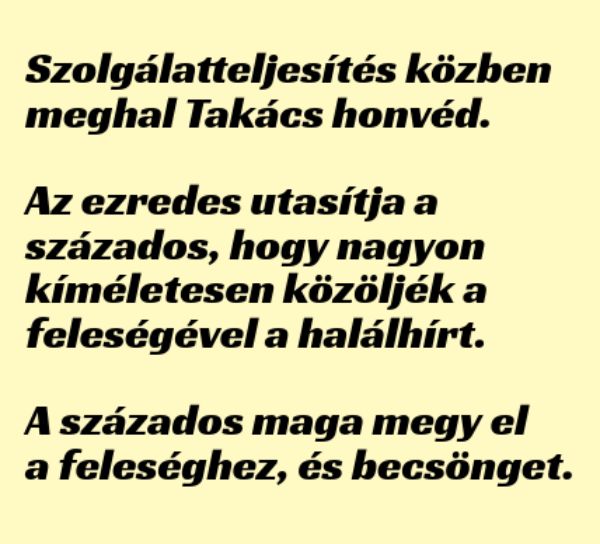 VICC: Szolgálatteljesítés közben meghal Takács honvéd