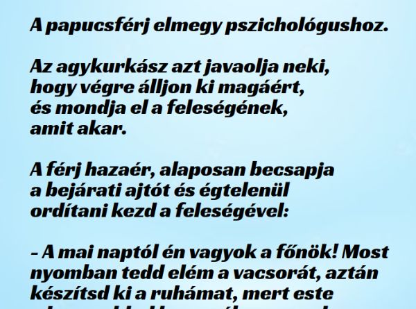 VICC: A papucsférj elmegy pszichológushoz