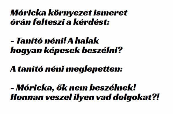 VICC: Móricka környezet ismeret órán