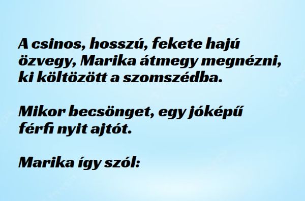 VICC: A csinos özvegy üdvözli az új szomszédot