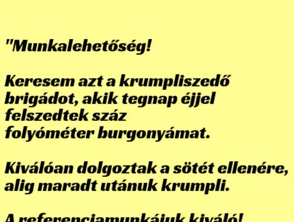 VICC: Munkalehetőség