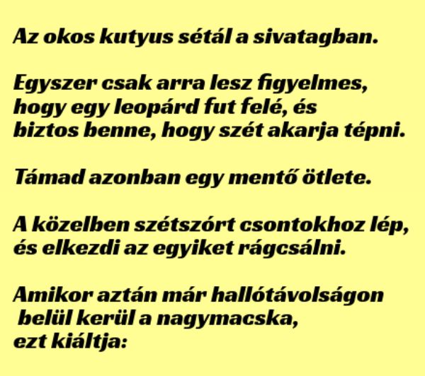 VICC: Az okos kutyus sétál a sivatagban