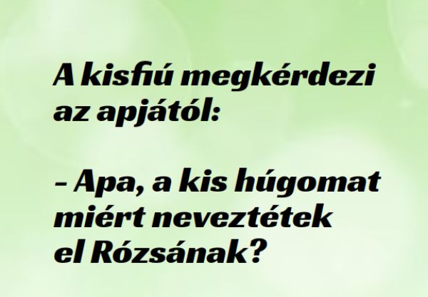 VICC: A kisfiú az apját faggatja a kishúga nevéről