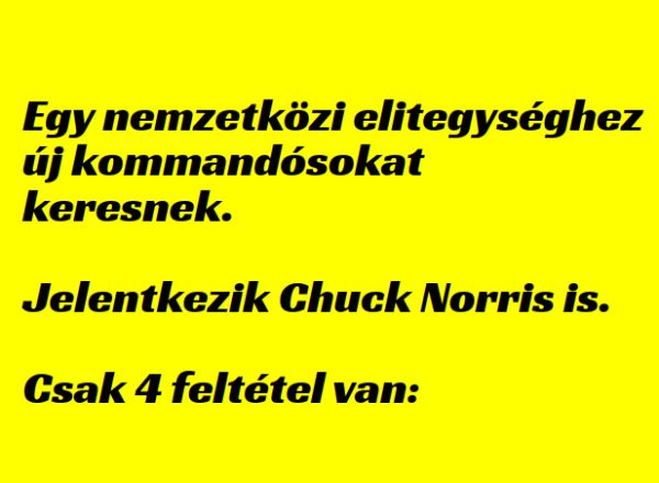 VICC: Egy nemzetközi elitegységhez új  kommandósokat keresnek. Jelentkezik Chuck Norris is