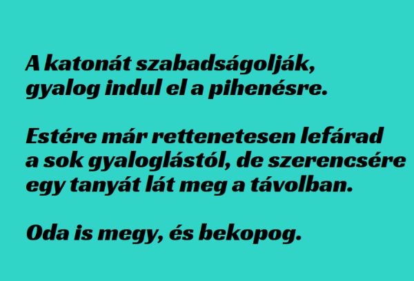 VICC: A katona egész nap bandukol, majd fáradtan egy tanyához ér