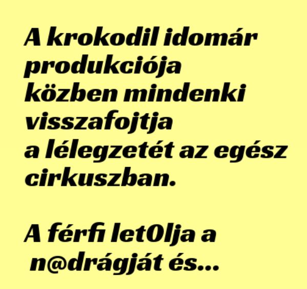 VICC: A krokodil idomár produkciója közben mindenki visszafojtja a lélegzetét