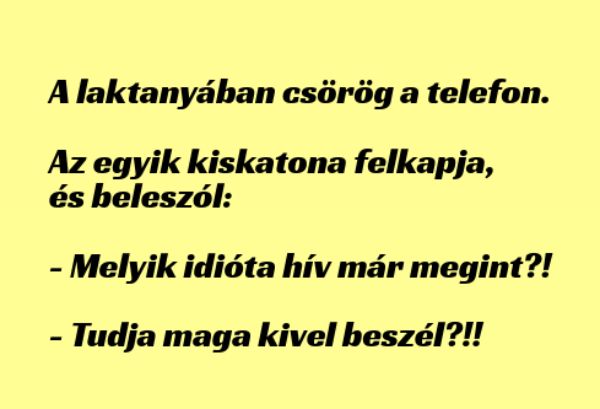 VICC: A laktanyában csörög a telefon. Az egyik kiskatona felkapja