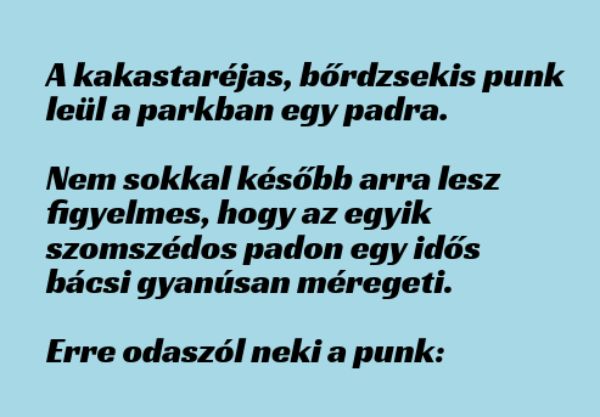 VICC: A kakastaréjas, bőrdzsekis punk leül a parkban egy padra