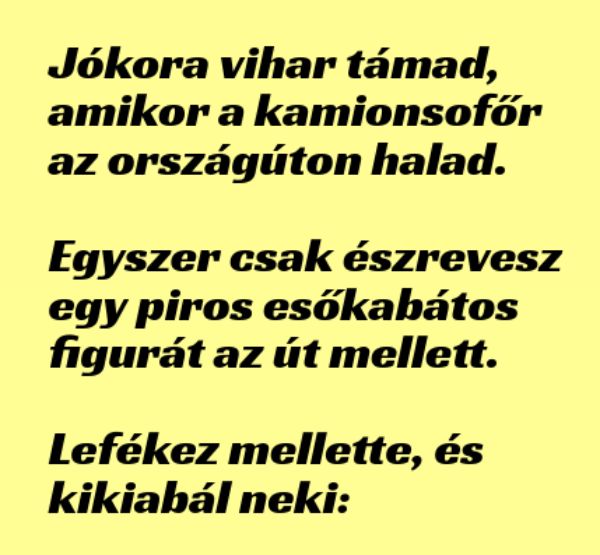VICC: A kamionos nagy viharban vezet. Egyszer csak észrevesz egy piros esőkabátos embert az út mellett