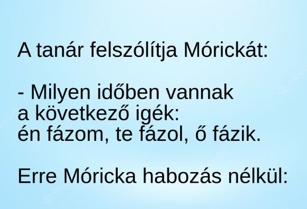 VICC: Mórickát nem lehet zavarba hozni