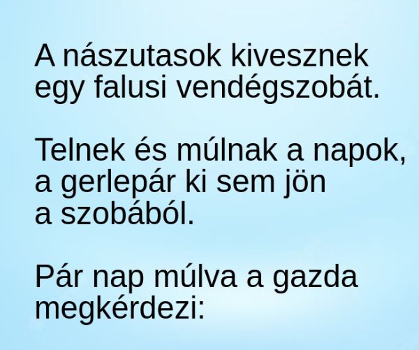 VICC: A nászutasok kivesznek egy falusi vendégszobát, és napokig ki sem mozdulnak