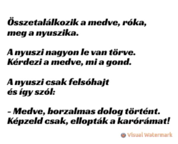 VICC: Összetalálkozik a medve, róka és a nyuszika