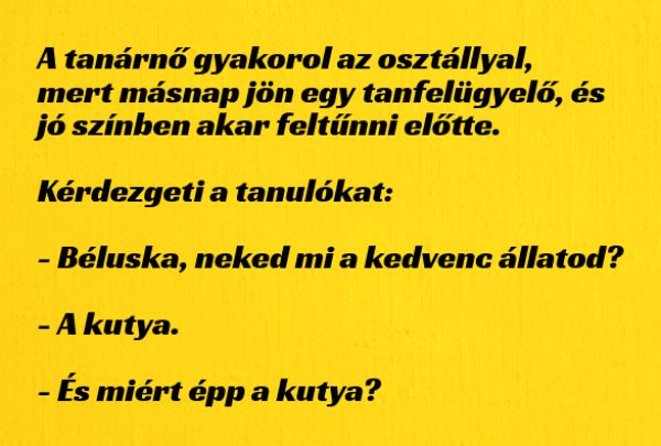 VICC: A tanárnő izgatottan gyakorol az osztállyal, mert másnap jön egy tanfelügyelő, és jó színben akar feltűnni
