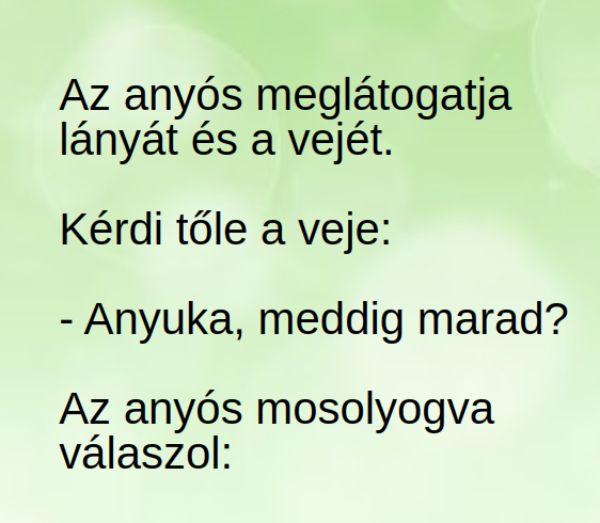 VICC: Az anyós meglátogatja lányát és a vejét.  Kérdi tőle a veje: